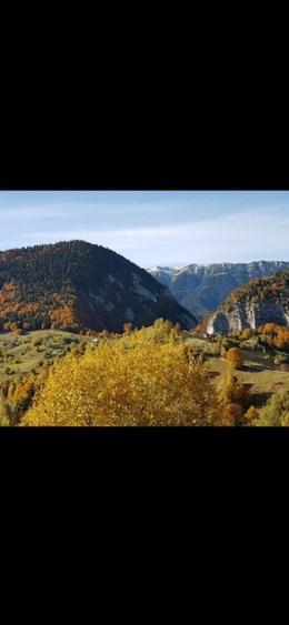 De vanzare 1000mp sat Pestera , comuna Moieciu - 5