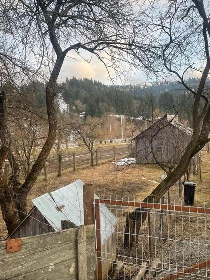 Casa+teren de vanzare - 1