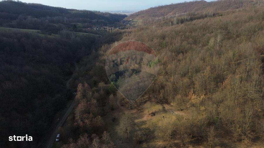 Poiana pentru cabana de vanzare intravilan Coas - 8