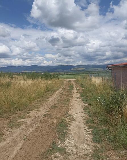 De vanzare teren extravilan in Valea Crisului - 3