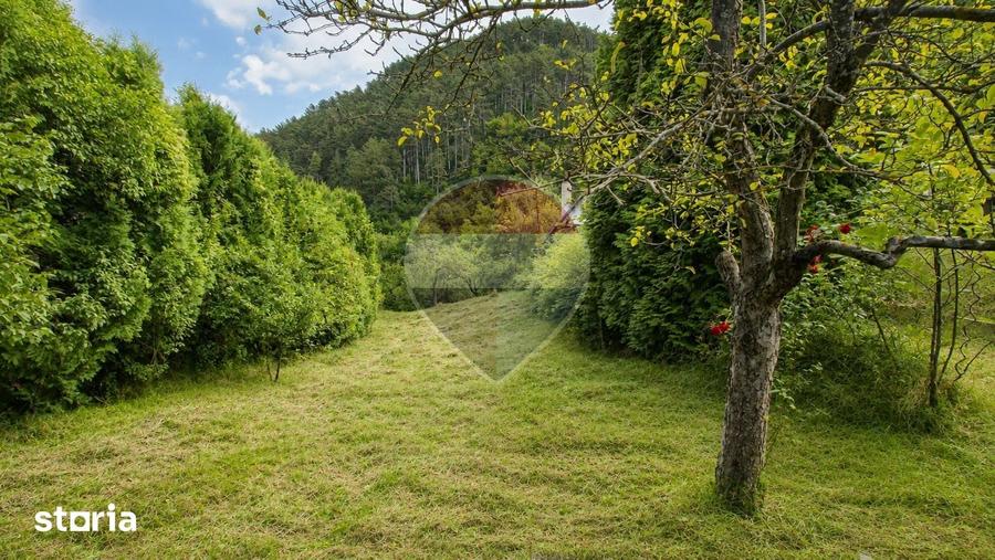 CASA CU GRADINA DE 1.498 MP | 3 FRONTURI STRADALE | SCHEII BRASOVULUI - 7
