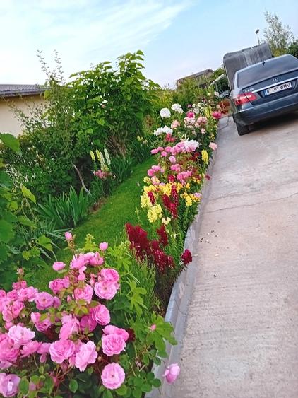 Popestii judetul Giurgiu - 10