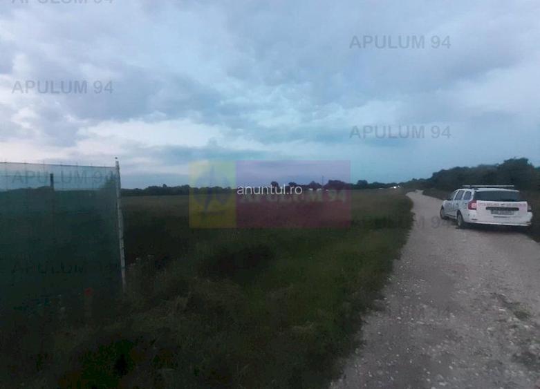 Teren aproape de Bucuresti langa padure intre case