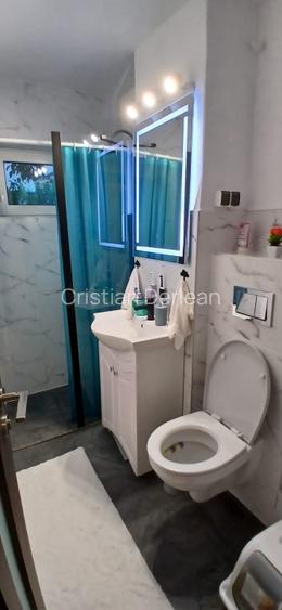 Sagului - Apartament cu 2 camere, complet mobilat si utilat Sagului - Apartament cu 2 camere, complet mobilat si utilat