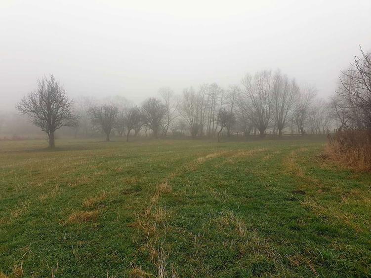 Teren de VANZARE / SCHIMB ! Bran- Sohodol Mestecanisului - 8