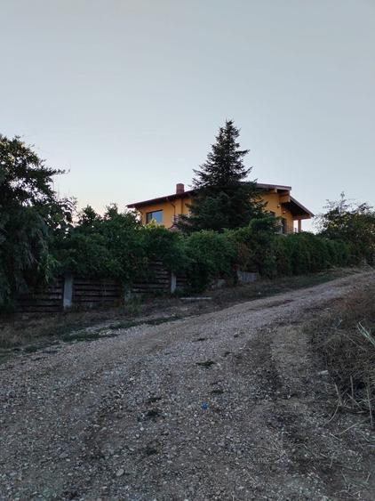 Ciolpani, spre Izvorani - COR, vanzare teren 5000mp. - 1