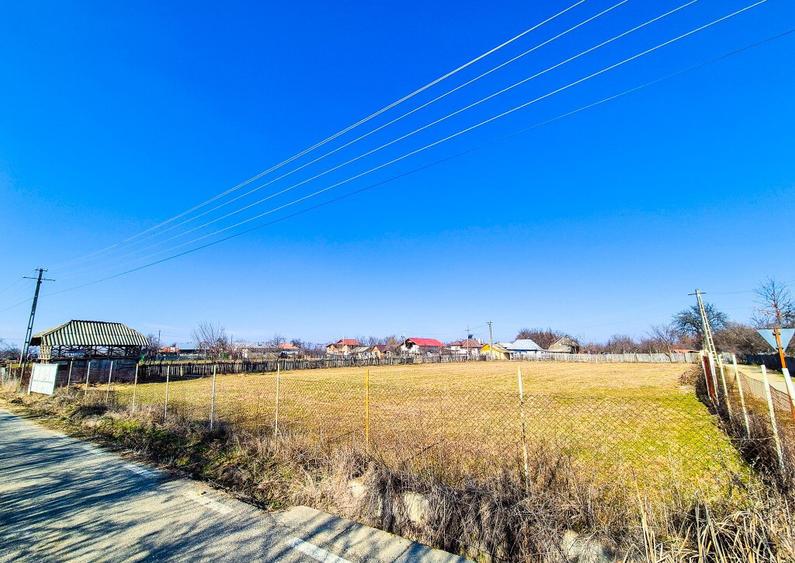 Teren Intravilan Cuca Arges - 13