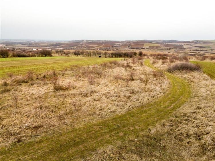 RECO Teren intravilan in Paleu - 3