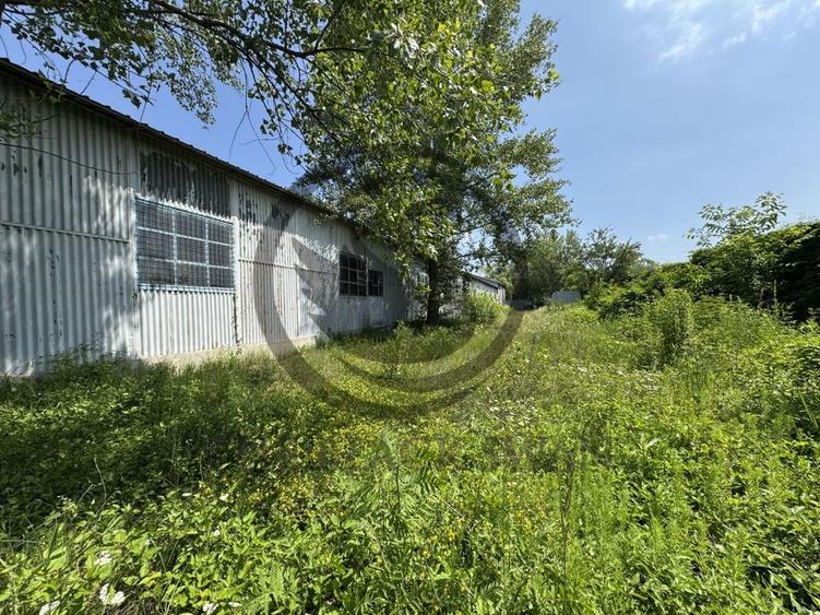 Hala de vanzare | 1.100mp I Boldesti-Scaieni - Randament anual 10% - 2