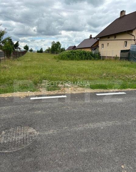 Teren intravilan, 2500 mp, Tisauti