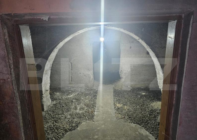 Casa cu 4 camere, demisol si teren 300 mp, Campeni, Mihoe - 4