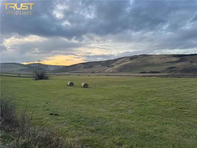 Teren Extravilan I 6000 Mp I Acces la drum | Cojocna - 1