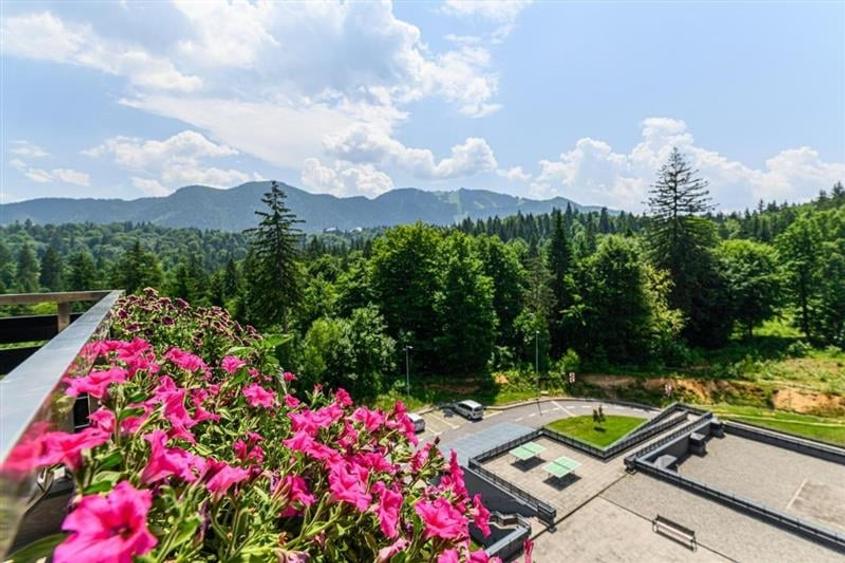 Imobil Clasa Lux, rezidential si/sau  investitional, purtator profit, Poiana Bra - 2