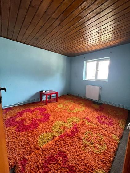 Brancoveanu-Nitu Vasile | Casa Individuala- D+P+1+M - 11