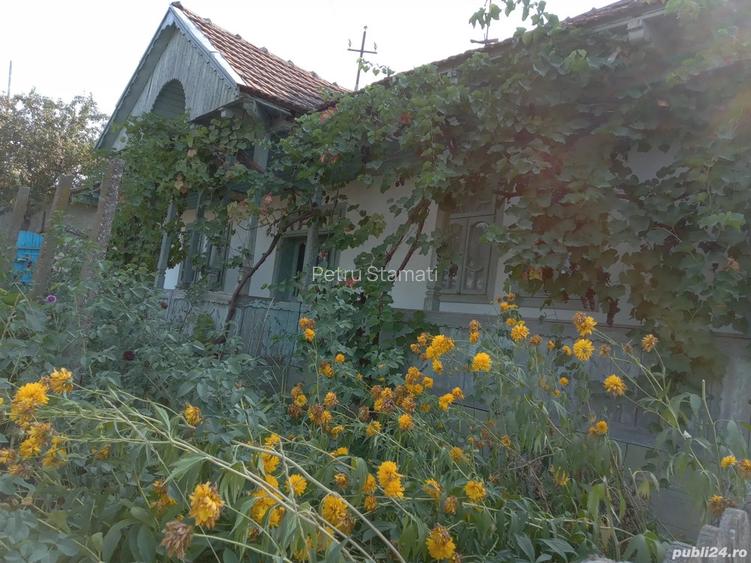 Vand casa Rebricea Jud Vaslui