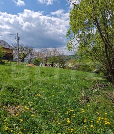 Teren intravilan, 1865 mp, de vanzare in Moieciu - Brasov