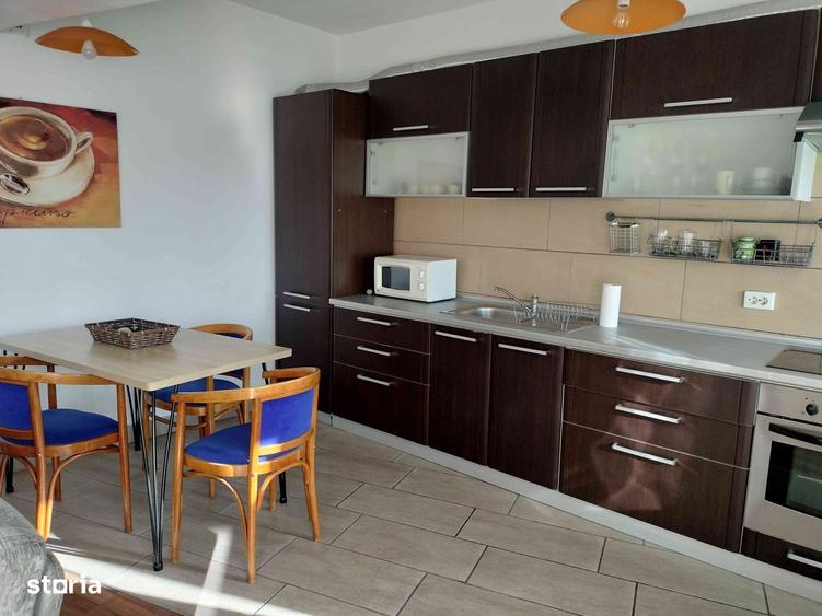 Doua camere Parcul Rozelor, Plopilor - 4