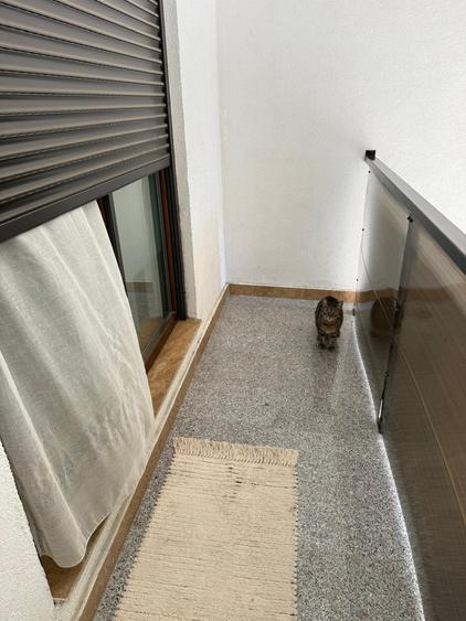 baneasa-herastrau-2 camere - 10