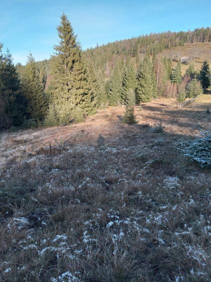 Teren de vanzare - 7