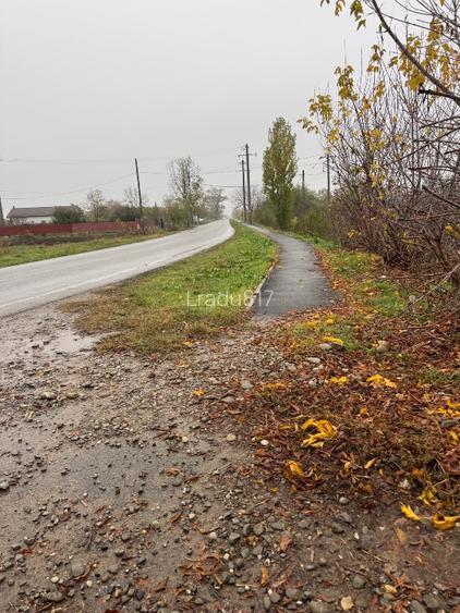 Loturi 500 mp Buftea-Darza cartier nou