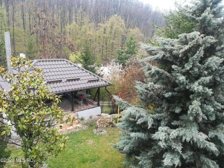 Topoloveni - Conacul Ion Mihalache, Domeniu pe 5 Hectare! - 42