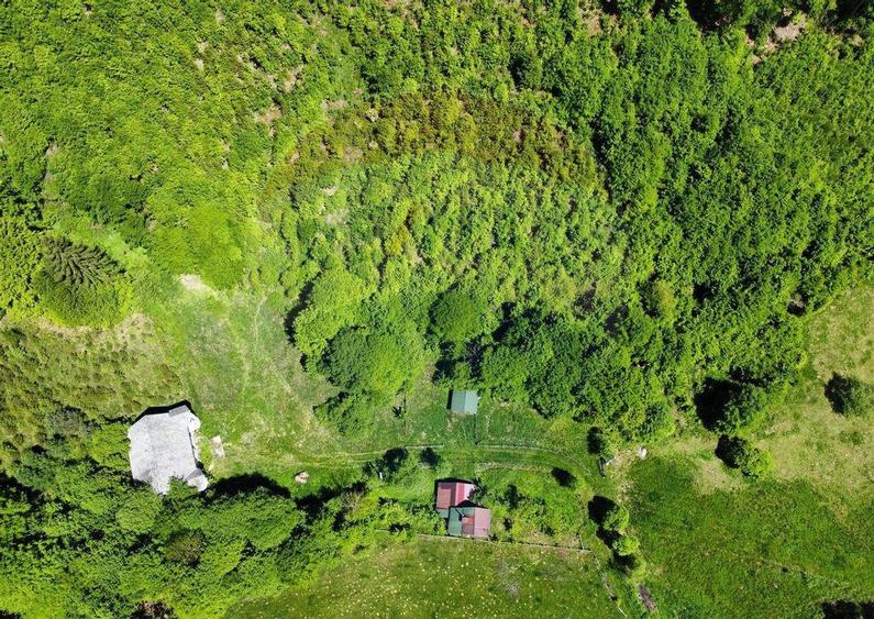 Comision 0%! Proprietate in natura, priveliste superba, S... - 10