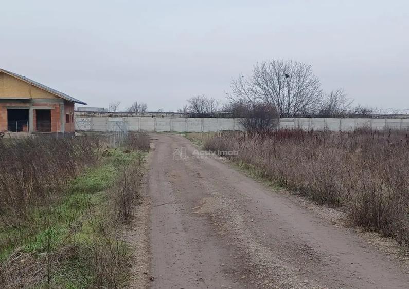 Teren Corbeanca- Balotesti Strada Trei Lacuri - 9