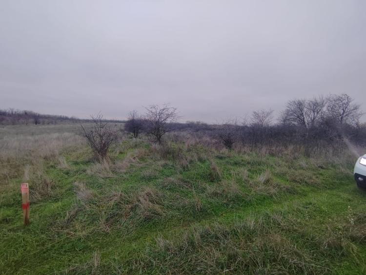 Teren extravilan Carcea - 2500 mp - 1