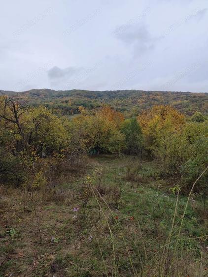 Vanzare sau Schimb! Central Drajna de Jos 5000 mp - 6