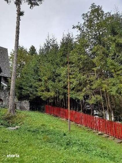 Vand 1\2 vila in Sinaia,cartier Furnica - 11