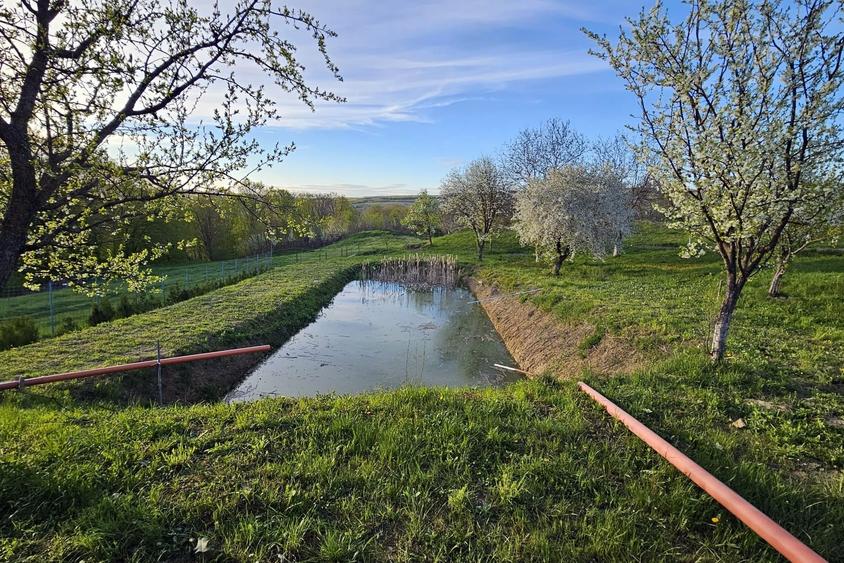 OPORTUNITATE!!! Casă cu iaz – cadru natural deosebit, la 17 km de  Pascani - 10