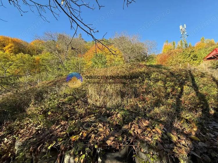 Teren intravilan 1543 mp zona Darmane?ti - 8