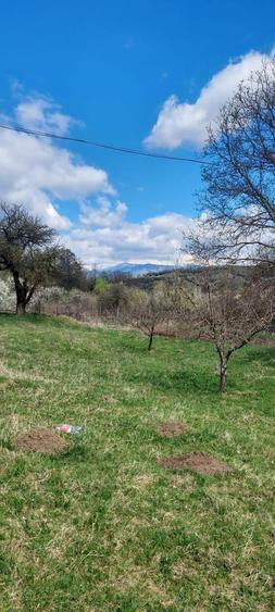 Campulung Grui, Flamanda, Valea Romanestilor si Schitu Golesti - 3