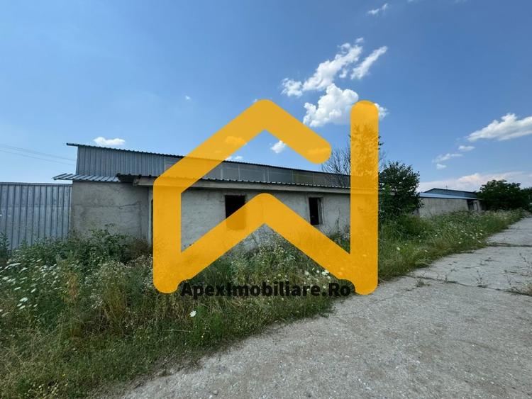 Hale Industriale de Vânzare Baicoi – 1100 mp + 800 mp, teren 5500 mp - 9