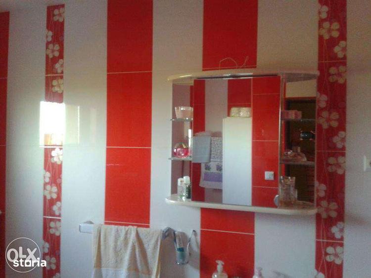 casa noua Sfantu Ilie cu 10 ari teren - 12