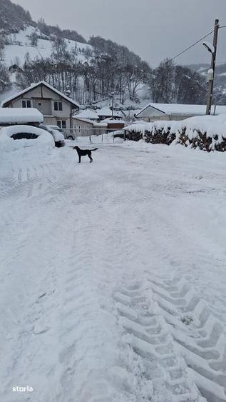 Teren cu hala de vanzare - 2