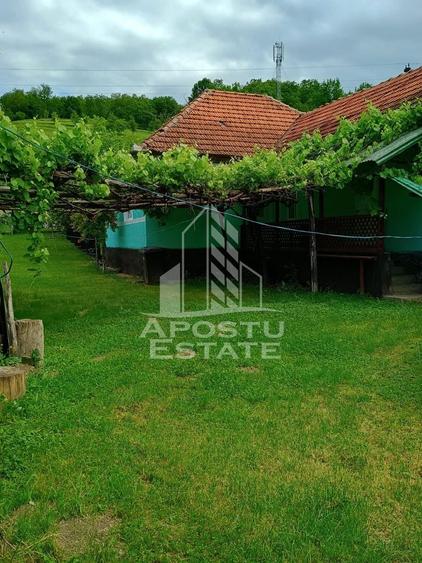 Casa batraneasca de vanzare, 4 camere, in Hunedoara, sat Micanesti - 3