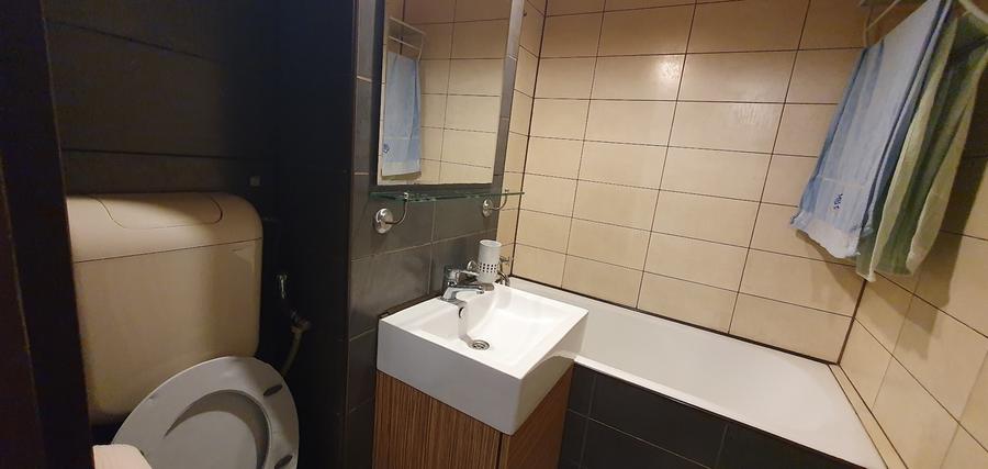 Giurgiului - Luica, loc parcare inchiriat, pet friendly, cetateni straini - 9