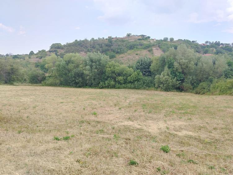 2 Parcele de teren extravilan zona Bradet Pret 3000eur/ar neg usor - 6