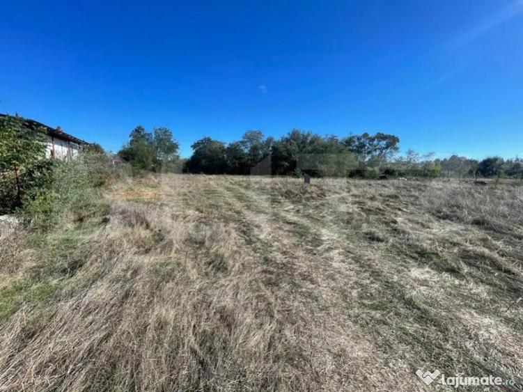 Teren Intravilan de vanzare, 900mp, Turcinesti - 2