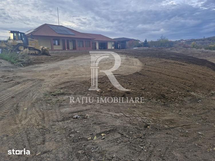 Teren intravilan 857 MP | Zona Dealuri | Bihor - 2