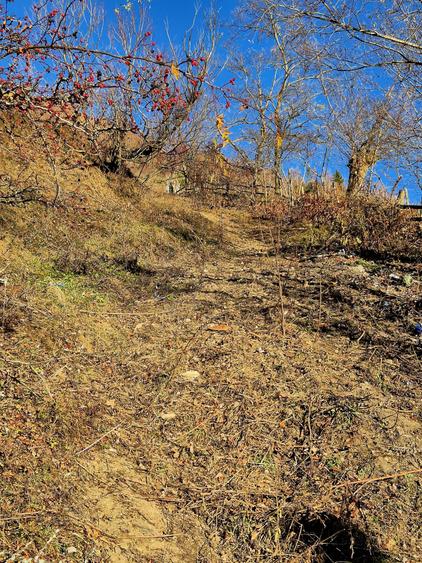 Teren de vânzare în sat Măgura/ Brasov– loc pentru familie, liniște și suflet - 23