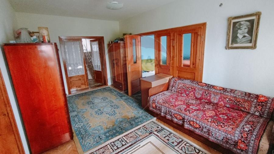 CASA + Casuta - DE VANZARE in Baia Sprie - 15