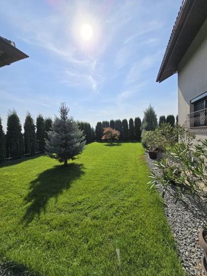 Casa de Vis, Serbanesti - 2