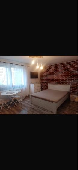 PF Inchiriez apartament 2 camere, decomandat, etaj 2, Cetate - 6