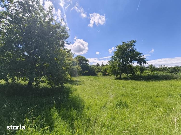 Teren de 2000 mp, în Dăești