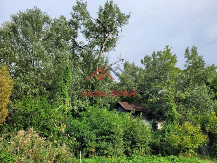 Teren intravilan in Telega--17.131 mp--180.000e - 2