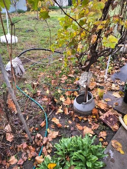 Oferta de vanzare Casa batraneasca in Cioranii de Jos, jude?ul Prahova - 3