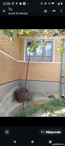 Casa de vanzare in Ludus - 3