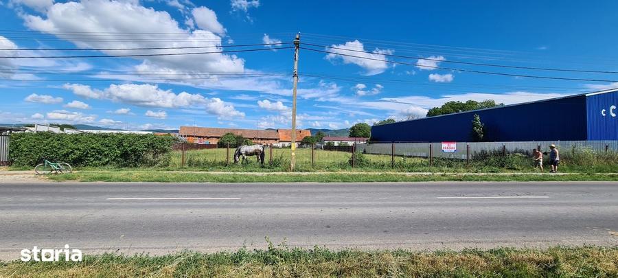 Teren comercial de vanzare, 4400 mp, acces asfaltat - 3